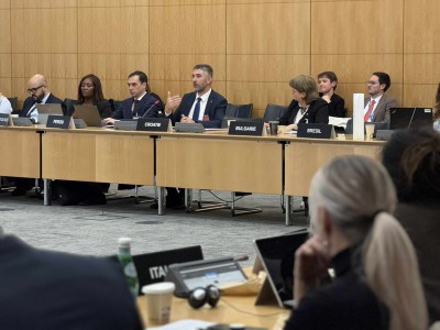 OECD (3).jpg